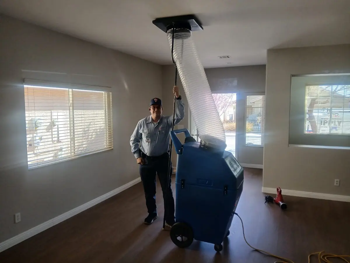 Professional Dryer Vent Cleaning work inside a Longwood home